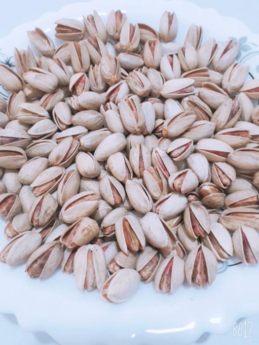 پسته اکبری دستچین اعلا + انتخاب ویژه برای بسته بندی های لوکس + قیمت و خرید عمده